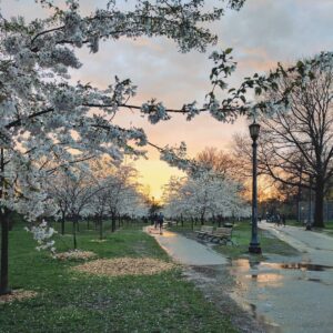 Mitchell Moffit Instagram - April showers bring May flowers 💧🌼