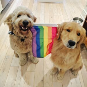 Mitchell Moffit Instagram - The proudest doggos 🏳️‍🌈❤️🧡💛🐶💚💙💜🏳️‍🌈
HAPPY PRIDE
#pride🌈 #pridemonth
