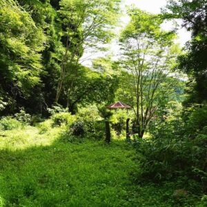 Mizuki Yamamoto Instagram - ⋆⸜☾⸝‍⋆

33歳になりました★

着飾った写真じゃなくてごめんなさい笑
祖父の家に行っておりました！(なのでこんな感じ)
幼い頃から大好きな場所です。
家族で来れて、幸せ。

皆様、良い一日をお過ごしくださいね。