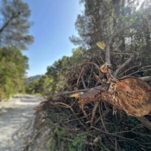 Moe Dunford Instagram - 🇪🇸 🌱🌗⛰️