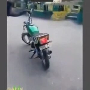 Mohammadtaghi Javadi Instagram - وضعیت پسرا جلوی مدرسه دخترونه 😂