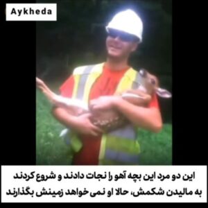 Mohammadtaghi Javadi Instagram - محبت و مهربانی هیچ جایگزینی ندارد ❤️