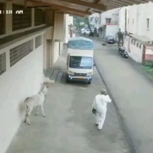Mohammadtaghi Javadi Instagram - ❌چه تصویر و صدا رو هم نشسته ❌
#azadi #reels #viral