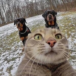 Mohammed Marouazi Instagram - Il a réalisé son rêve de prendre un selfie avec ses deux lascars mais après ça je ne sais pas où est-ce qu'il est passé?!!!!
Bonne hiver à toutes et  à tous .