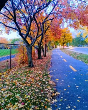 Mohammed Marouazi Instagram - Voilà que l'automne nous quitte cette semaine , Laissant la place à un nouvel hiver que j'ai décidé de vivre pleinement aussi. Ce qui est beau au Canada c'est qu'on voit et on réagit avec la nature. Même les saisons sont réglées comme une montre suisse. 
Je vous souhaite de passer un bel hiver plein de chaleur, d'activités joyeuse, de bonheur et de plaisir. 
#hivercanadien 
#canadatravel