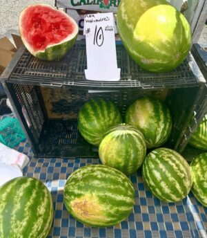 Monet Mazur Instagram - summer so far…. 🍉