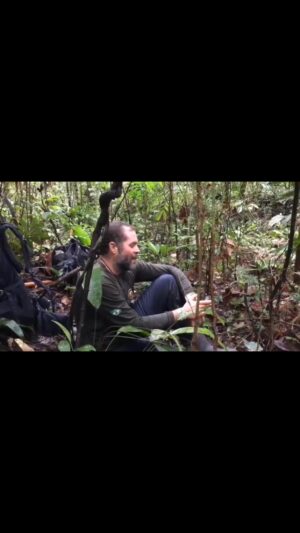 Monica Iozzi Instagram - Bruno Pereira entoando cânticos . Vídeo postado como homanagem por seu amigo Enock Taurepang,