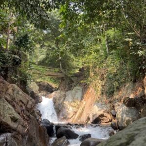 Nadila Wantari Instagram - a nature-loving soul, forced into the urban jungle