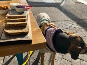 Naiara Awada Instagram - Disfrutando al sol con mi mejor compañía 
Mi bebé perro . Cu en @hausbrot_madero