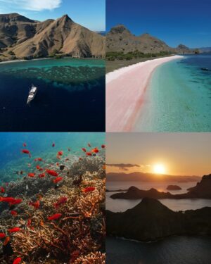 Nat Sakdatorn Instagram - 1st liveaboard and already looking forward to many more.

@bluescape.th #komodo #indonesia