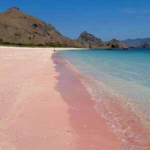 Nat Sakdatorn Instagram - Would you like to have some pink today?

#pinkbeach #komodo #indonesia