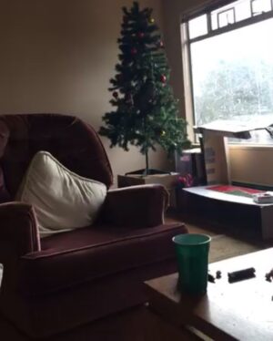 Nat Zang Instagram - Grinch.