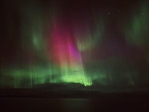Natalia Cordova-Buckley Instagram - Under star flowers🌟🪷🌟

Floating on an autumn night over the sea just north of the Arctic Circle. 
The only noise comes from the gentle wind hitting the life rafts above our heads. 
In front of us, the miniature lights of a town called Honningsvåg. 
The vast ocean surrounds us, stretching away into the distance until it encounters the horizon. 
A barrier of darkness…the black sky polka doted by the stars.
Out of nowhere, without trumpets or sounds to announce its arrival, the bud of a giant flower. 
Slowly, color and light begin to manifest. 
A cosmic tulip blooming. 
A lotus flower blossoms. 
My mind knows that we are witnessing the Northern Lights but all I see is magic. 

The Cree Indians held that the Aurora was part of life’s circle and were the spirits of the dead who remained in the sky above their loved ones. The Cree believed that the lights were spirits of these departed friends and relatives trying to communicate with those they had left behind on earth.

Noche de Octubre 2-3.
Celebrando un año exacto de tu nueva vida. 
Gracias Primo! 

#auroraborealis
