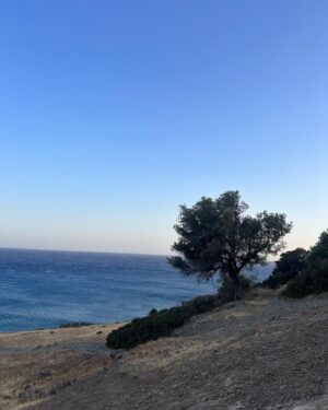 Natasa Exintaveloni Instagram - Αν είσαι καλός, να πας στην νότια Κρήτη και να μείνεις στον Κερατόκαμπο.
Αν είσαι κακός μην πας, δε θα σ’ αρέσει.
❤️