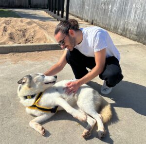 Nathan Sykes Instagram - Had the pleasure of visiting @dogstrust_manchester to see first hand the incredible work that they do and got to meet Kido who is looking for her forever home! Please click the link for more information https://www.dogstrust.org.uk/rehoming/dogs/dog/filters/man~~~~~n~~/12595 @dogstrust 💛