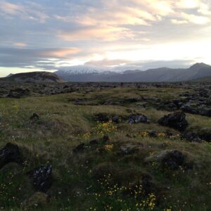 Nicholas Britell Instagram - This is a real place. #Budir #Iceland
