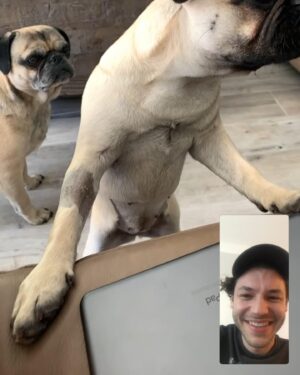 Nick Fink Instagram - FaceTime with Vill and Dexter.