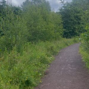 Nicola Sturgeon Instagram - Four seasons in one day on my walk earlier - but a good reminder of how good walking is for physical and mental health…and how, even in the city, there are gorgeous places to go. 

#walking #exercise #health #mindfulness #glasgow #scotland