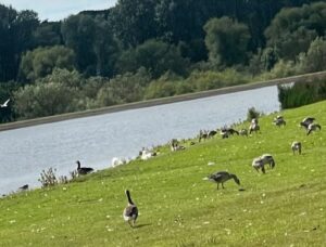 Nicola Sturgeon Instagram - Lots going on at Strathclyde Park today