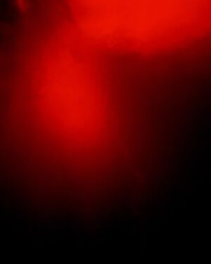 Nicolas Winding Refn Instagram - 