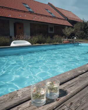 Nikol Švantnerová Instagram - Poslední střípky z našeho třídenního relaxu🌲🫧🌿
1. Plavky, na které jste se ptali z @reserved 
2. ⁠Relax v přírodě!
3. ⁠Bazén, u kterého jsme byli nonstop.
4. ⁠Ano, opravdu nonstop😁🫧
5. ⁠Gastronomie 12/10! Bylo to dokonalé!
6. ⁠Víno ze sklenic a místní sklárny.
7. ⁠Prostě @zikmundov 🌿
8. ⁠🍷🤍
9. ⁠Dokonalé výhledy z postele si tu užívala i Miunka.
10. ⁠Spoko Nikouš🫶🏼