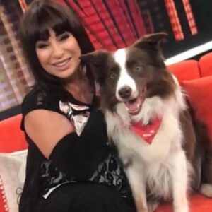 Nilgün Belgün Instagram - Hayatım boyunca hayvan dostlarım oldu evimde…
Öldürmek için değil yaşatmak için çözüm üretmeliyiz… İçim acıyor…