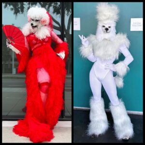 Nina Bo'nina Brown Instagram - No children im not at dragcon, remember im not invited because im “Transphobic” 😍. But i keep getting tagged lol but im glad yall want me to know that folks stay inspired by me even tho they never say it, but we all know and their welcome it’s not the 1st or last 🤩 but stay tuned for all stars 9 rawview! #makeup #mua #dragqueen #blueprint #allstars #poodles