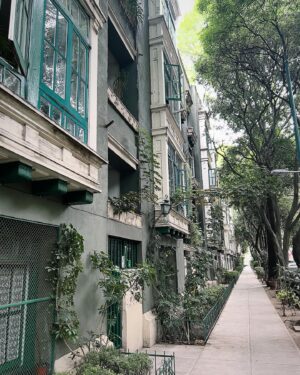 Norbi Novak Instagram - Happen to be done at work early and was able to walk around a bit. What a beautiful place  #mexicocity is. Can’t wait to be back soon.