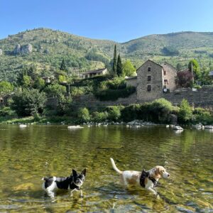 Océane Colom Instagram - Places to be with ma go et my dogs ☀️🫶🏻