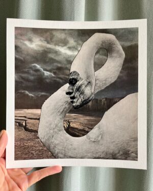 OjeRum Instagram - HALF PRICE ON ALL OLDER
ORIGINAL HAND-CUT COLLAGES
WORLDWIDE SHIPPING
DM FOR A LIST OF 
ALL AVAILABLE WORKS