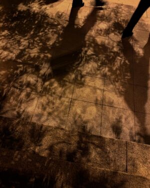 Ok Ja-yeon Instagram - 🖤
내게 봄의 바흐를 알려준 유센 형제
클래식계의 아이돌
나 아이돌 좋아하네 두둠
한국 자주 와요
🤍
백만년만에 샵에서 메이크업 받았기 때문에 사진도 백만장찍고
유센 형제보다 내 얼굴이 많아서 웃기지만 다 올려버린다
야호 나도 이제 스무장씩 올릴 수 있다요