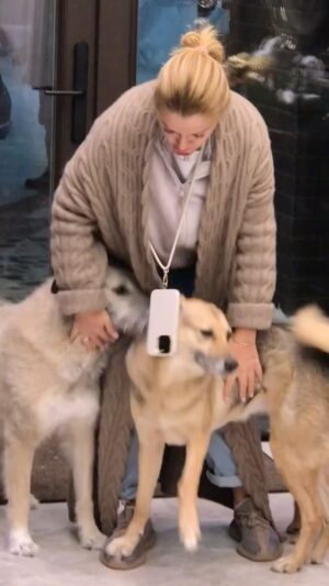 Olga Orlova Instagram - Ну кто еще будет так радоваться моему возвращению??😍
Мои 🧡🧡🧡🧡
@bearcoat_bruno #ася_с_октябрьской #бемби_из_усыпалки #луфи_из_мячково