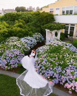 Olivia Culpo Instagram - 🤍

Planning: @lisavorce
Photography: @josevilla
Fashion Stylist: @jennifermazurstyle
Video: @aaronnovakfilms
Dresses: @dolcegabbana
Content: @krizialo
Makeup: @maryphillips @dolcegabbana_beauty
Hair: @dimitrishair
Florals: @flowersbysemia 
Tan: @dolceglow @isabelalysa 
Jewelry: @debeersofficial
Location: @oceanhouseri @newport.mansions
Cake: @confectionerydesigns