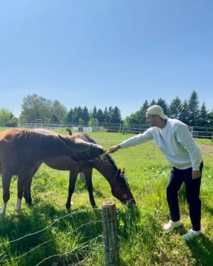 Olivier Couture Instagram - Direct dans le pré 🐴