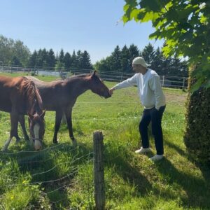 Olivier Couture Instagram - Direct dans le pré 🐴