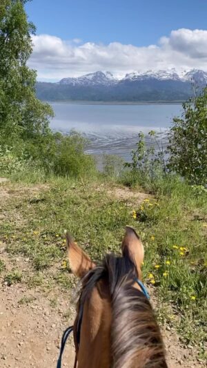Otto Kilcher Instagram - Happiest of Father’s Days to ALL!
#kilchercountry #kilcher #kilcherhomestead #fathersday #itsgoodtobeus