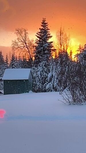 Otto Kilcher Instagram - Joy to the World.
 
Christmas Day 2023 wraps with a firey red sunset afternoon! 

#sunset #snowstorm #kilchercountry #kilcherhomestead #kilcher #forthewin