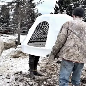 Otto Kilcher Instagram - Teaming up with August to build calf igloos! Or are they calf yurts? Upcycled some Deadliest Catch memorabilia for the homestead herd! 

#kilcherhomestead #alaskathelastfrontier #deadliestcatch #cows #cowsofinstagram #homestead #homesteadlife