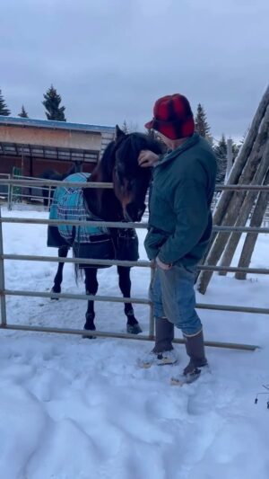 Otto Kilcher Instagram - Givin’ Troika his daily snacks-n-lovins ♥️ Too bad we don’t have matching plaid eh? Wouldn’t that be something?

#kilcher #kilcherhomestead #kilchercountry #morgan #morganhorse #horsesofinstagram #homesteading #chores