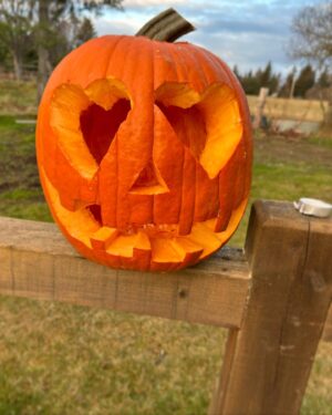 Otto Kilcher Instagram - Punkin fun on the homestead. Which is your favorite? 

#kilcher #kilchercountry #kilcherhomestead #halloween #jackolantern #ifyaknowyaknow #checkenginelight