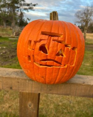 Otto Kilcher Instagram - Punkin fun on the homestead. Which is your favorite? 

#kilcher #kilchercountry #kilcherhomestead #halloween #jackolantern #ifyaknowyaknow #checkenginelight