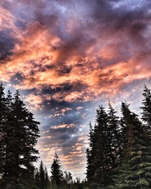 Otto Kilcher Instagram - Mother Nature wields her wild paintbrush with a flourish, splashing the world with colors that dance across the canvas of Earth. 🌅