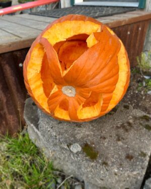 Otto Kilcher Instagram - Punkin fun on the homestead. Which is your favorite? 

#kilcher #kilchercountry #kilcherhomestead #halloween #jackolantern #ifyaknowyaknow #checkenginelight