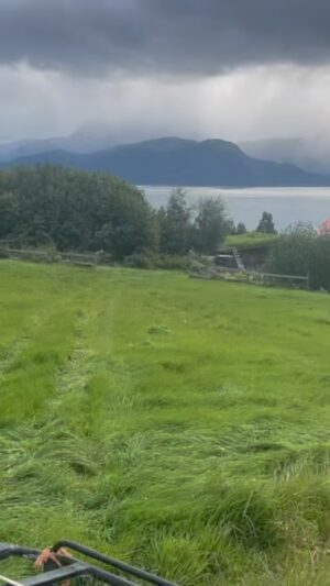 Otto Kilcher Instagram - Mother Nature’s paintbrush: the skies are dark and stormy, the grass glitters and dances like the northern lights. 
#kilchercountry #kilcherhomestead #kilcher #kachemakbay #mothernature #northernlights