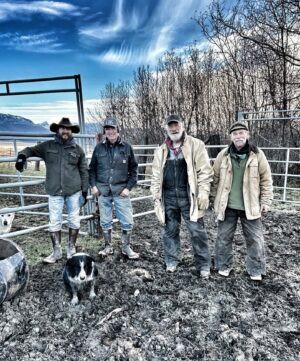 Otto Kilcher Instagram - Mamas, don’t let yer babies grow up to be cowboys. 

You’ll always be wearin’ muddy boots, the finest carhartts, a big smile and be seein’ the finest country in the north! 

It’s been a fine week of processing steers and Kachemak Cowboyin’ with these boys. 

#kilcher #kilcherhomestead #kilchercountry #kachemakbay #kachemakcowboys #xtratuf #carhartt #mamasdontletyourbabiesgrowuptobecowboys