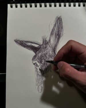 Pablo Astiazarán Instagram - El burro haciendo burradas.
(Me quedó medio medio peeeeeeero es el primero que hago así)
Julio 2024
Ciudad de México, México.
