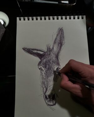 Pablo Astiazarán Instagram - El burro haciendo burradas.
(Me quedó medio medio peeeeeeero es el primero que hago así)
Julio 2024
Ciudad de México, México.