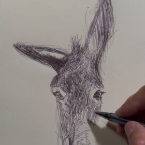 Pablo Astiazarán Instagram - El burro haciendo burradas.
(Me quedó medio medio peeeeeeero es el primero que hago así)
Julio 2024
Ciudad de México, México.