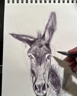 Pablo Astiazarán Instagram - El burro haciendo burradas.
(Me quedó medio medio peeeeeeero es el primero que hago así)
Julio 2024
Ciudad de México, México.