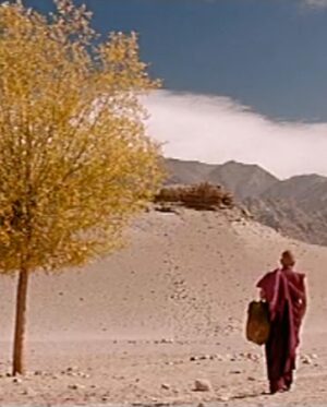 Pan Nalin Instagram - Tomorrow: Special Screening of SAMSARA to celebrate 20 years of its theatrical release by Miramax at the International Film Festival of Kerala 2023.

Sunday 10th December 2023 
Aries Plex Cinema. 

@iffklive 
@samsara.themovie 
@monsoonfilms